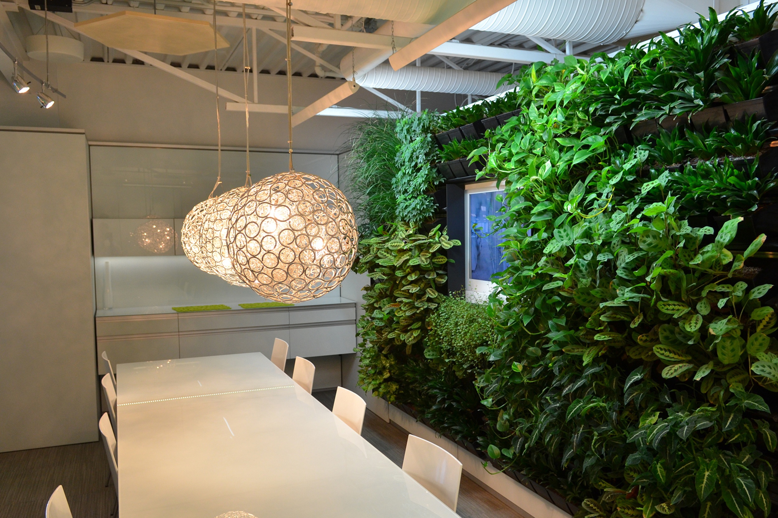 what-is-biophilic-design